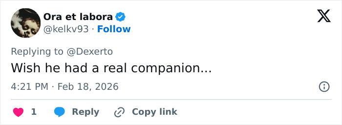 IKEA praised for generous gift to baby monkey Punch who went viral after mom abandoned him