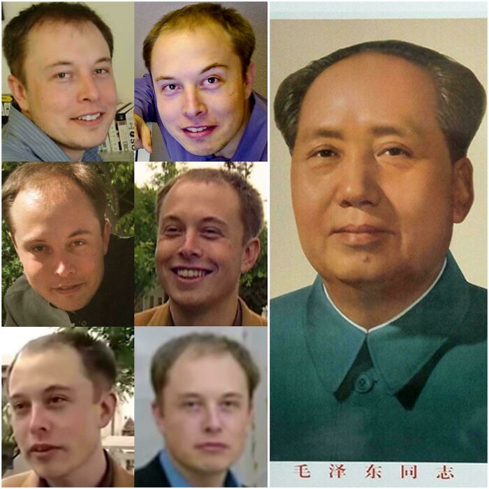 78 Tragic Hair Accidents That Might Make You Rethink Trusting A Hairstylist (New Pics) 78 Tragic Hair Accidents That Might Make You Rethink Trusting A Hairstylist (New Pics)