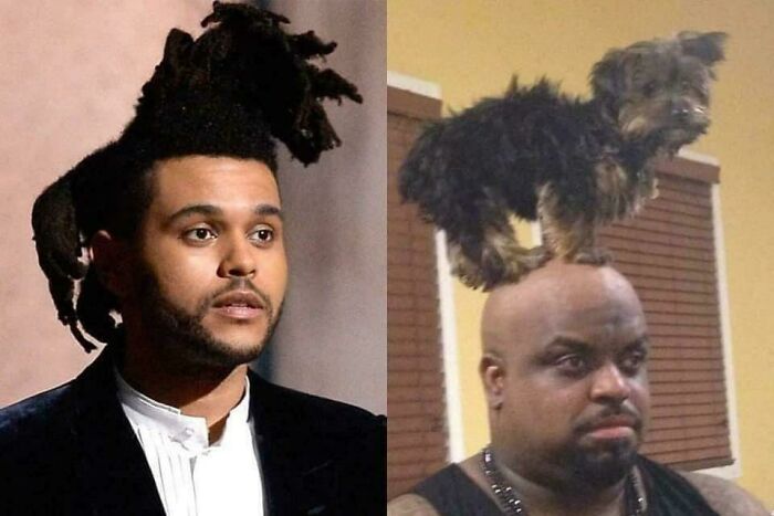 78 Tragic Hair Accidents That Might Make You Rethink Trusting A Hairstylist (New Pics) 78 Tragic Hair Accidents That Might Make You Rethink Trusting A Hairstylist (New Pics)