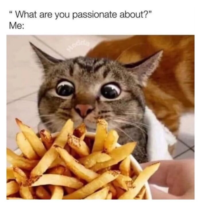63 Food Memes That Perfectly Capture Snack Cravings