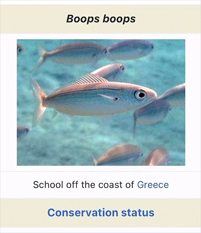 46 Times Animal Names Were So Ridiculous, People Questioned The Sanity Of Scientists Who Named Them 46 Times Animal Names Were So Ridiculous, People Questioned The Sanity Of Scientists Who Named Them