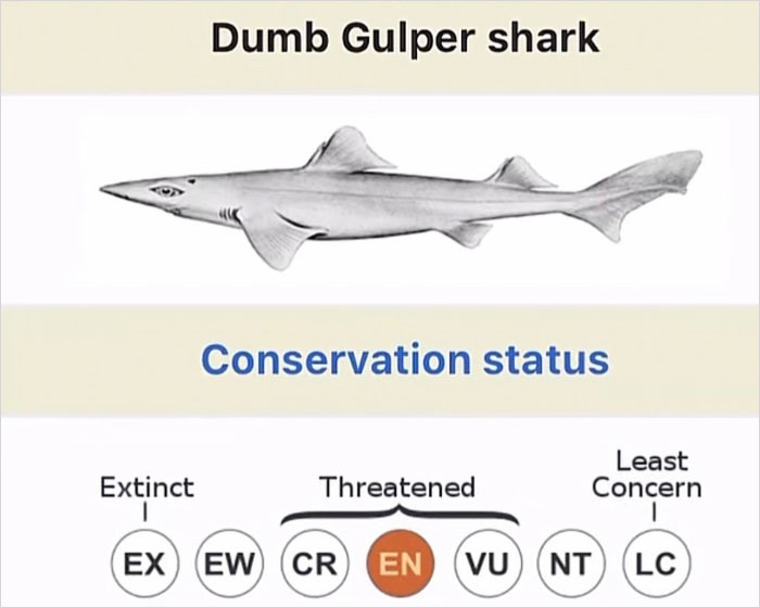 46 Times Animal Names Were So Ridiculous, People Questioned The Sanity Of Scientists Who Named Them 46 Times Animal Names Were So Ridiculous, People Questioned The Sanity Of Scientists Who Named Them