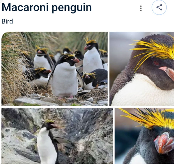 46 Times Animal Names Were So Ridiculous, People Questioned The Sanity Of Scientists Who Named Them 46 Times Animal Names Were So Ridiculous, People Questioned The Sanity Of Scientists Who Named Them