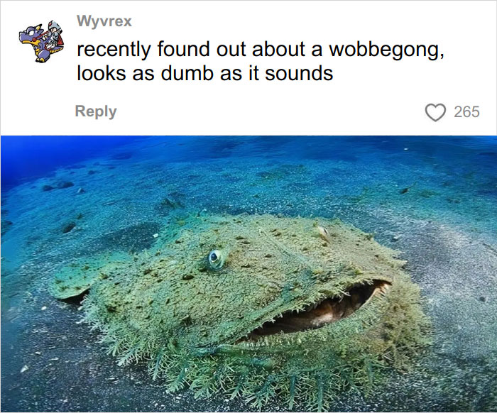 46 Times Animal Names Were So Ridiculous, People Questioned The Sanity Of Scientists Who Named Them 46 Times Animal Names Were So Ridiculous, People Questioned The Sanity Of Scientists Who Named Them