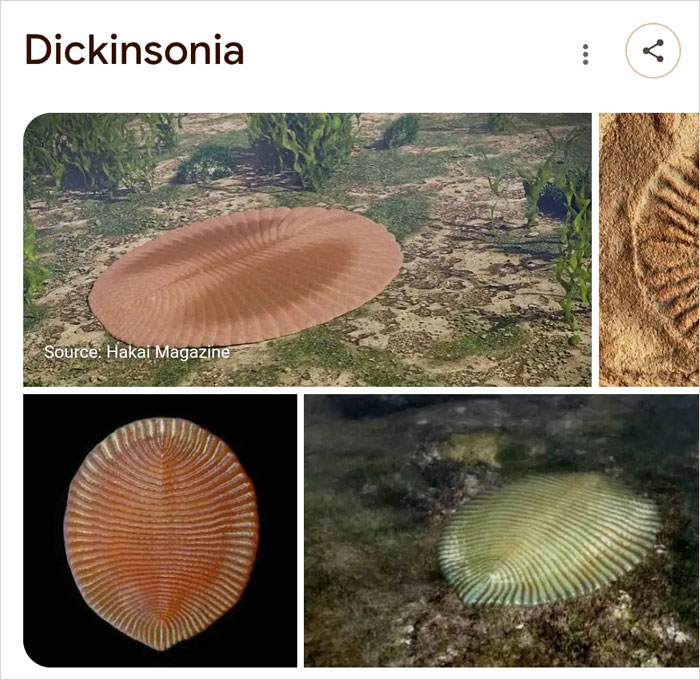 46 Times Animal Names Were So Ridiculous, People Questioned The Sanity Of Scientists Who Named Them 46 Times Animal Names Were So Ridiculous, People Questioned The Sanity Of Scientists Who Named Them