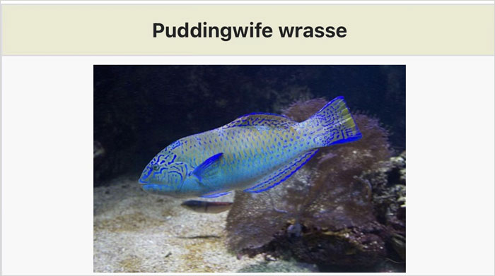 46 Times Animal Names Were So Ridiculous, People Questioned The Sanity Of Scientists Who Named Them 46 Times Animal Names Were So Ridiculous, People Questioned The Sanity Of Scientists Who Named Them