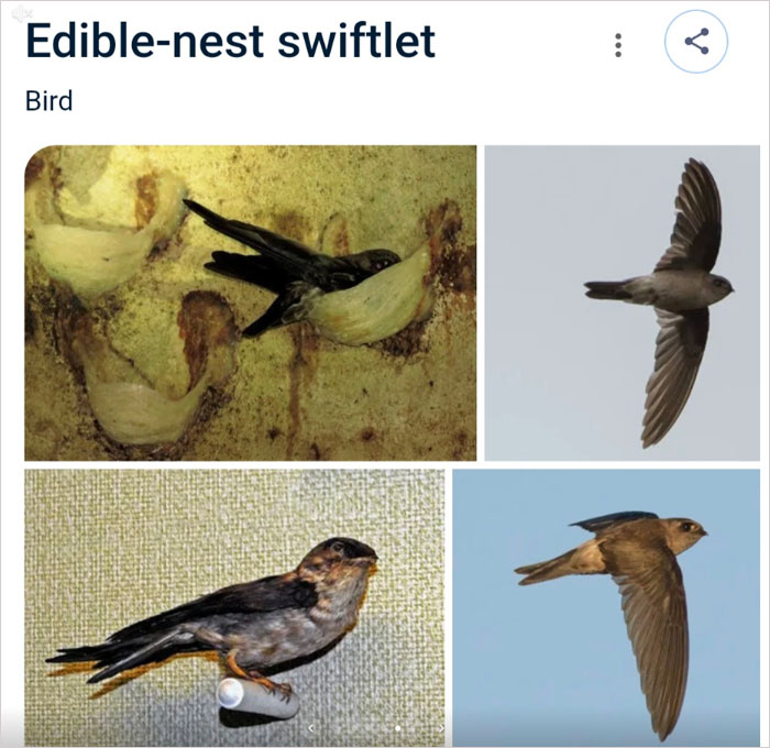 46 Times Animal Names Were So Ridiculous, People Questioned The Sanity Of Scientists Who Named Them 46 Times Animal Names Were So Ridiculous, People Questioned The Sanity Of Scientists Who Named Them