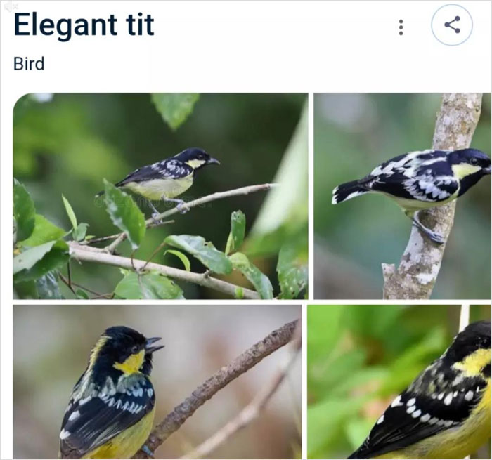 46 Times Animal Names Were So Ridiculous, People Questioned The Sanity Of Scientists Who Named Them 46 Times Animal Names Were So Ridiculous, People Questioned The Sanity Of Scientists Who Named Them