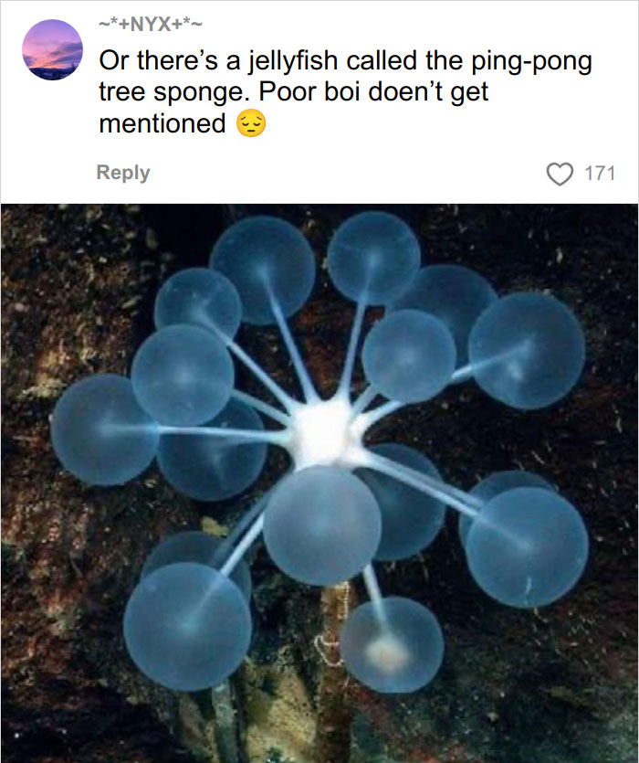 46 Times Animal Names Were So Ridiculous, People Questioned The Sanity Of Scientists Who Named Them 46 Times Animal Names Were So Ridiculous, People Questioned The Sanity Of Scientists Who Named Them