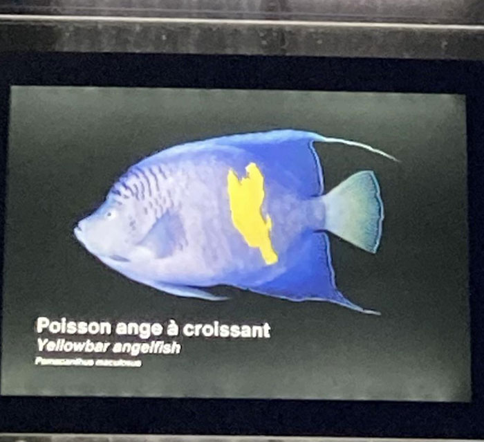 46 Times Animal Names Were So Ridiculous, People Questioned The Sanity Of Scientists Who Named Them 46 Times Animal Names Were So Ridiculous, People Questioned The Sanity Of Scientists Who Named Them