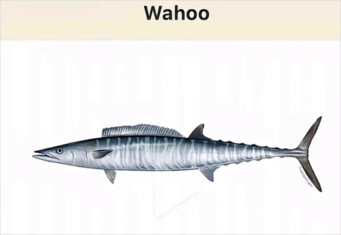 46 Times Animal Names Were So Ridiculous, People Questioned The Sanity Of Scientists Who Named Them 46 Times Animal Names Were So Ridiculous, People Questioned The Sanity Of Scientists Who Named Them