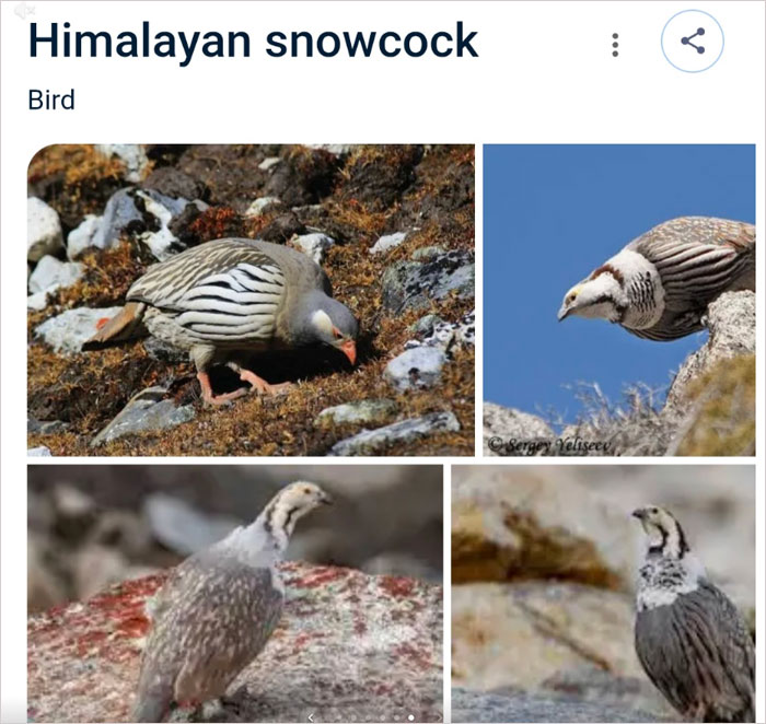 46 Times Animal Names Were So Ridiculous, People Questioned The Sanity Of Scientists Who Named Them 46 Times Animal Names Were So Ridiculous, People Questioned The Sanity Of Scientists Who Named Them