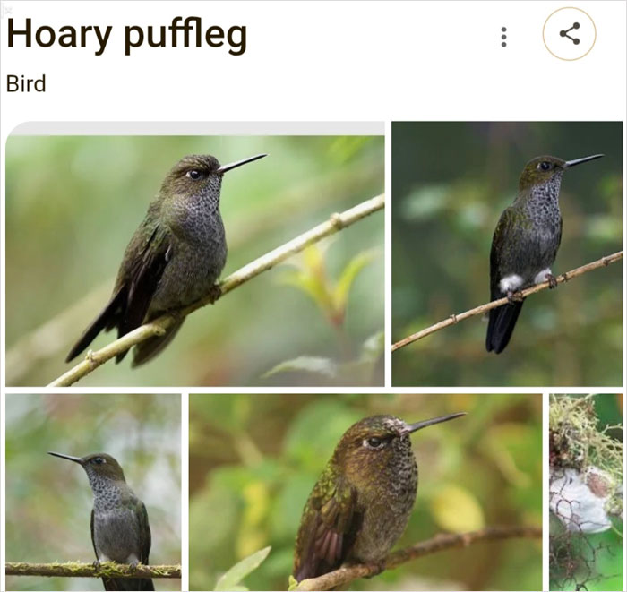 46 Times Animal Names Were So Ridiculous, People Questioned The Sanity Of Scientists Who Named Them 46 Times Animal Names Were So Ridiculous, People Questioned The Sanity Of Scientists Who Named Them