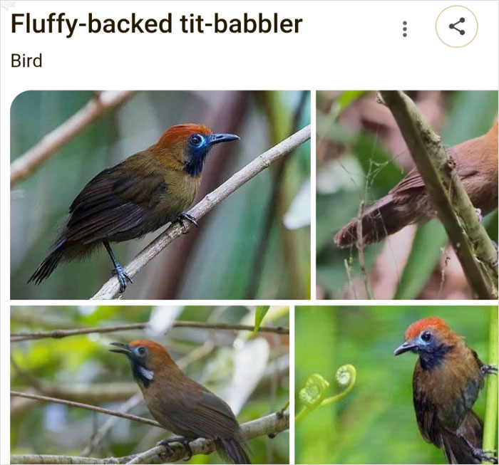 46 Times Animal Names Were So Ridiculous, People Questioned The Sanity Of Scientists Who Named Them 46 Times Animal Names Were So Ridiculous, People Questioned The Sanity Of Scientists Who Named Them