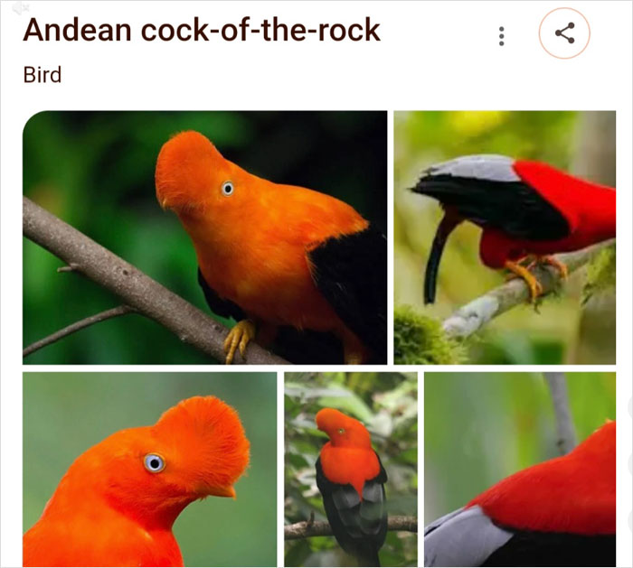 46 Times Animal Names Were So Ridiculous, People Questioned The Sanity Of Scientists Who Named Them 46 Times Animal Names Were So Ridiculous, People Questioned The Sanity Of Scientists Who Named Them