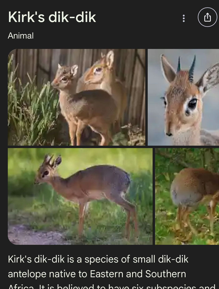 46 Times Animal Names Were So Ridiculous, People Questioned The Sanity Of Scientists Who Named Them 46 Times Animal Names Were So Ridiculous, People Questioned The Sanity Of Scientists Who Named Them