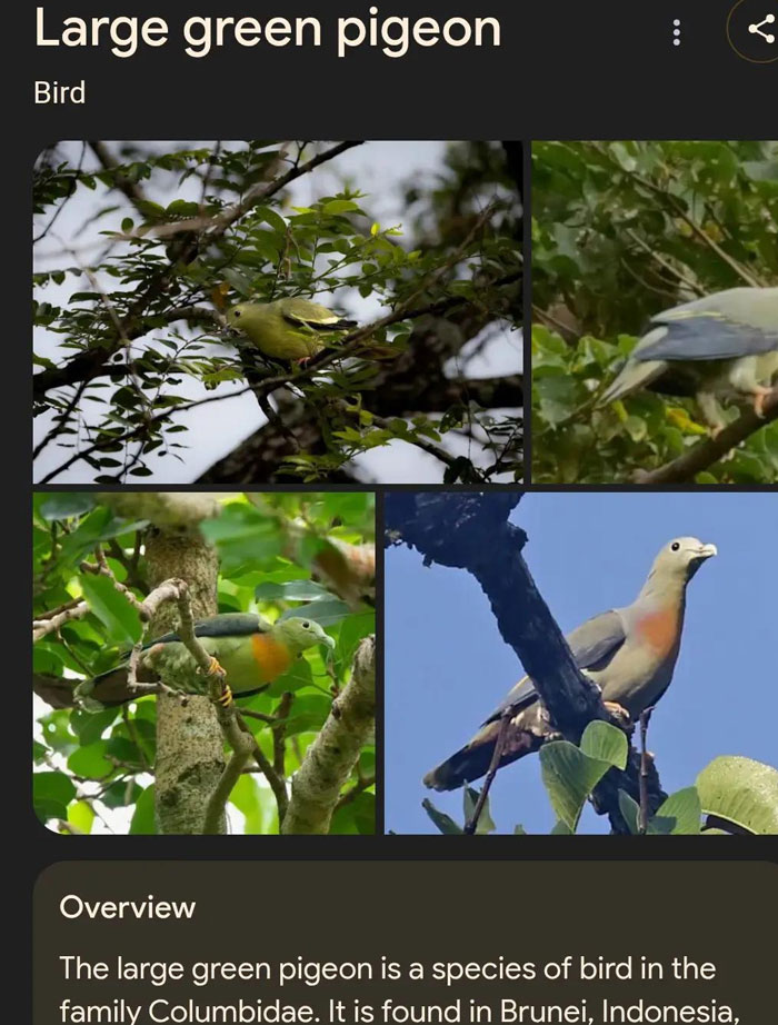 46 Times Animal Names Were So Ridiculous, People Questioned The Sanity Of Scientists Who Named Them 46 Times Animal Names Were So Ridiculous, People Questioned The Sanity Of Scientists Who Named Them