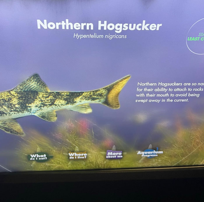 46 Times Animal Names Were So Ridiculous, People Questioned The Sanity Of Scientists Who Named Them 46 Times Animal Names Were So Ridiculous, People Questioned The Sanity Of Scientists Who Named Them