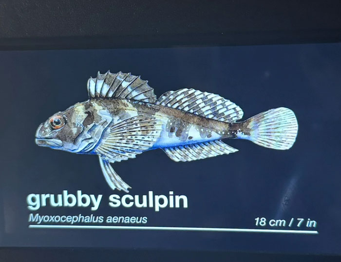 46 Times Animal Names Were So Ridiculous, People Questioned The Sanity Of Scientists Who Named Them 46 Times Animal Names Were So Ridiculous, People Questioned The Sanity Of Scientists Who Named Them