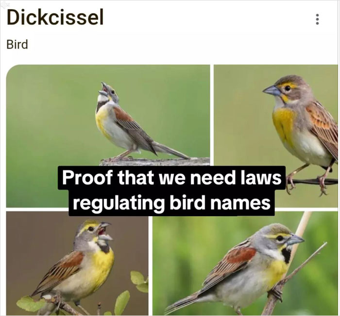 46 Times Animal Names Were So Ridiculous, People Questioned The Sanity Of Scientists Who Named Them 46 Times Animal Names Were So Ridiculous, People Questioned The Sanity Of Scientists Who Named Them