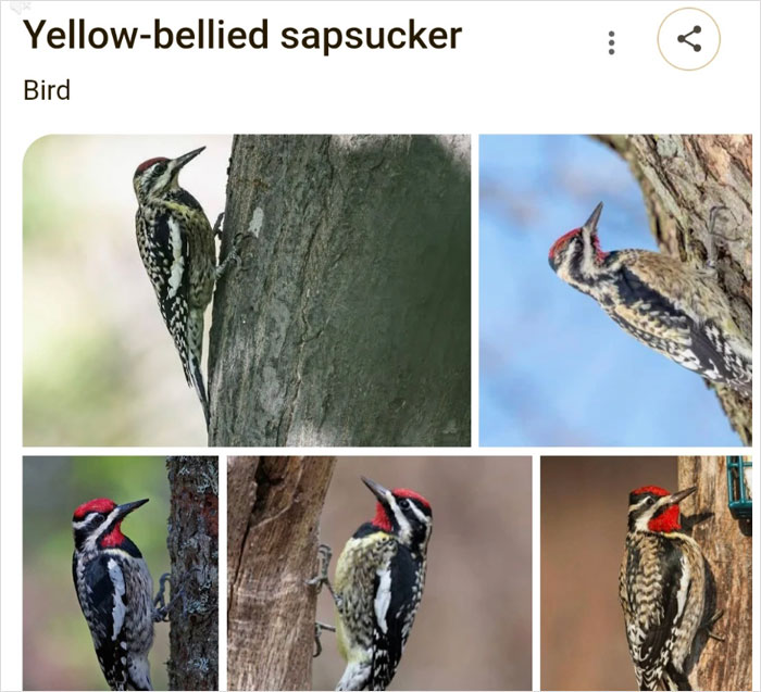 46 Times Animal Names Were So Ridiculous, People Questioned The Sanity Of Scientists Who Named Them 46 Times Animal Names Were So Ridiculous, People Questioned The Sanity Of Scientists Who Named Them