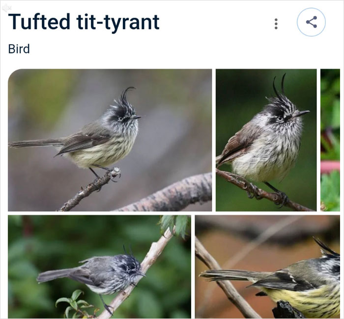 46 Times Animal Names Were So Ridiculous, People Questioned The Sanity Of Scientists Who Named Them 46 Times Animal Names Were So Ridiculous, People Questioned The Sanity Of Scientists Who Named Them