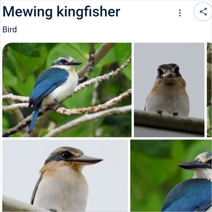 46 Times Animal Names Were So Ridiculous, People Questioned The Sanity Of Scientists Who Named Them 46 Times Animal Names Were So Ridiculous, People Questioned The Sanity Of Scientists Who Named Them