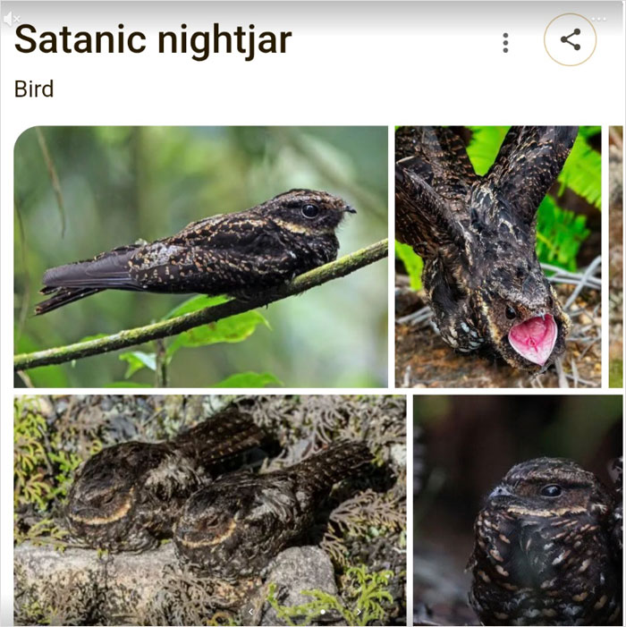 46 Times Animal Names Were So Ridiculous, People Questioned The Sanity Of Scientists Who Named Them 46 Times Animal Names Were So Ridiculous, People Questioned The Sanity Of Scientists Who Named Them