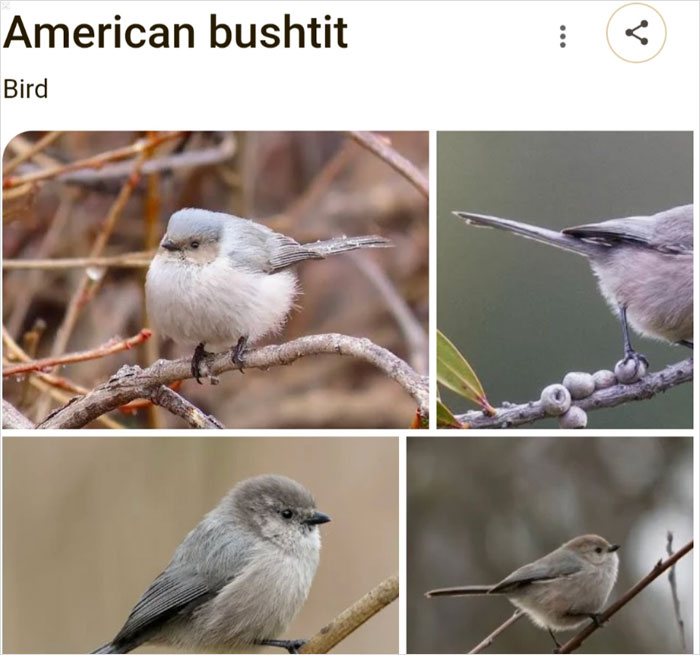 46 Times Animal Names Were So Ridiculous, People Questioned The Sanity Of Scientists Who Named Them 46 Times Animal Names Were So Ridiculous, People Questioned The Sanity Of Scientists Who Named Them