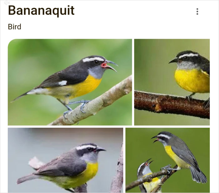 46 Times Animal Names Were So Ridiculous, People Questioned The Sanity Of Scientists Who Named Them 46 Times Animal Names Were So Ridiculous, People Questioned The Sanity Of Scientists Who Named Them