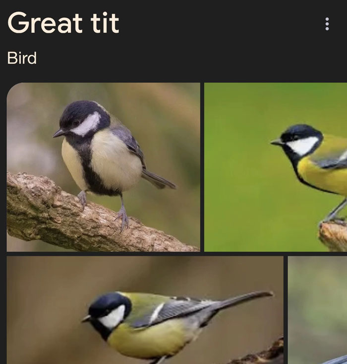 46 Times Animal Names Were So Ridiculous, People Questioned The Sanity Of Scientists Who Named Them 46 Times Animal Names Were So Ridiculous, People Questioned The Sanity Of Scientists Who Named Them