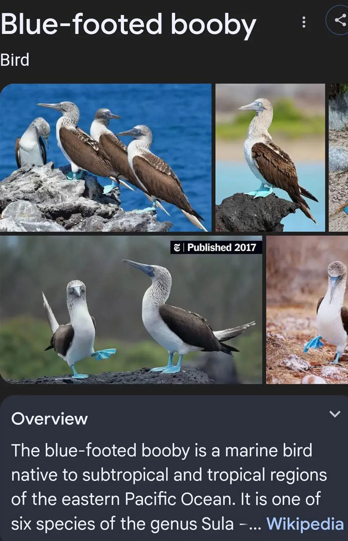 46 Times Animal Names Were So Ridiculous, People Questioned The Sanity Of Scientists Who Named Them 46 Times Animal Names Were So Ridiculous, People Questioned The Sanity Of Scientists Who Named Them