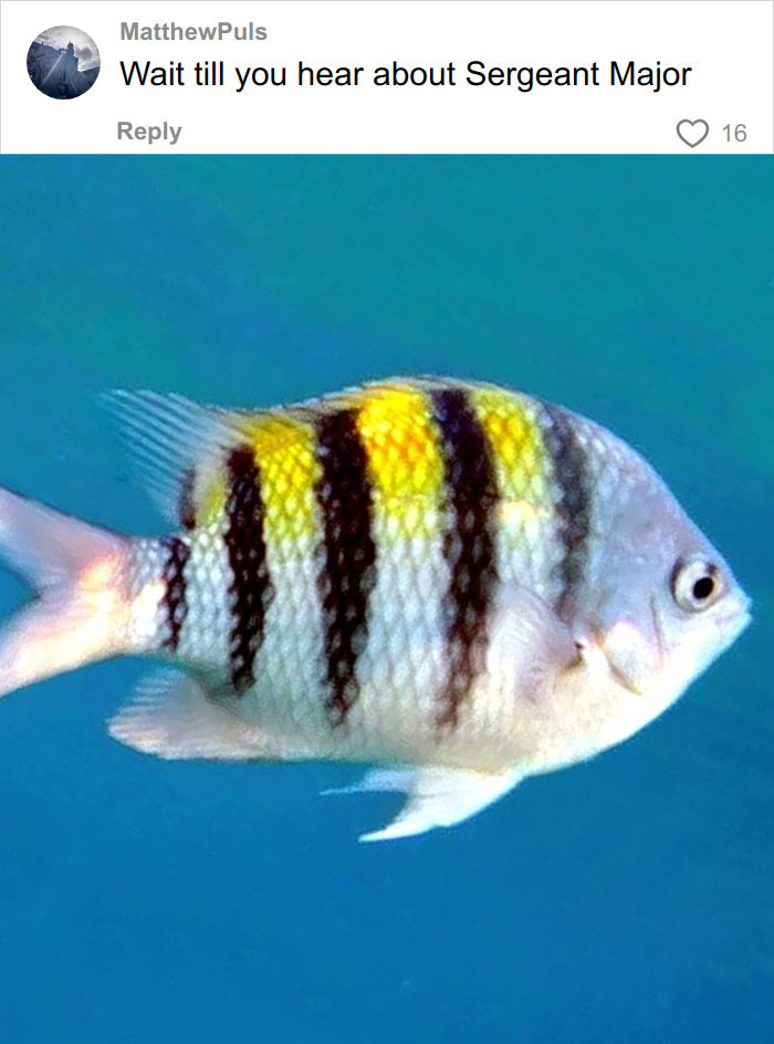 46 Times Animal Names Were So Ridiculous, People Questioned The Sanity Of Scientists Who Named Them 46 Times Animal Names Were So Ridiculous, People Questioned The Sanity Of Scientists Who Named Them