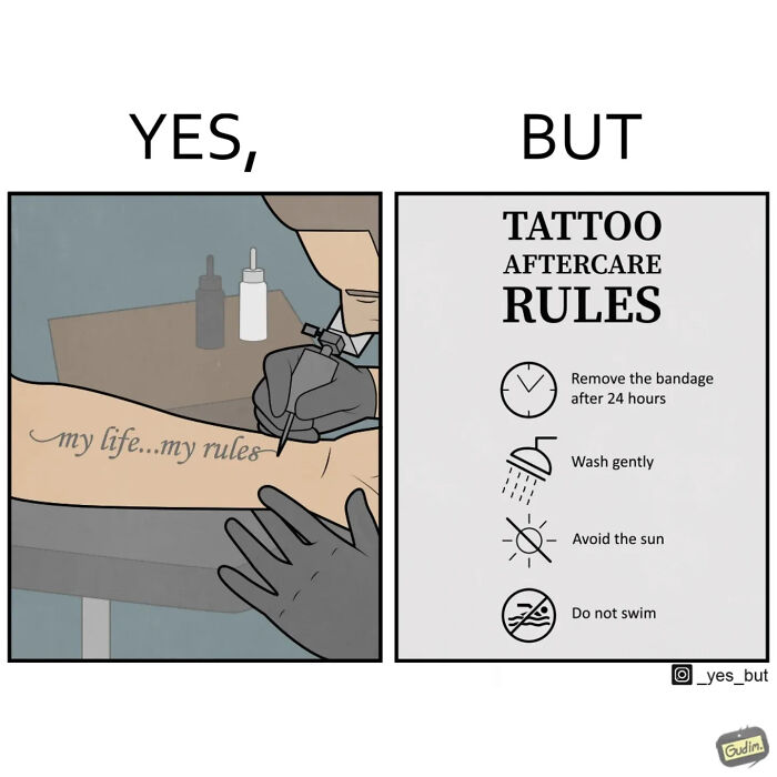 26 New ‘Yes, But’ Comics That Continue To Expose Our Society&rsquo;s Contradictory Nature