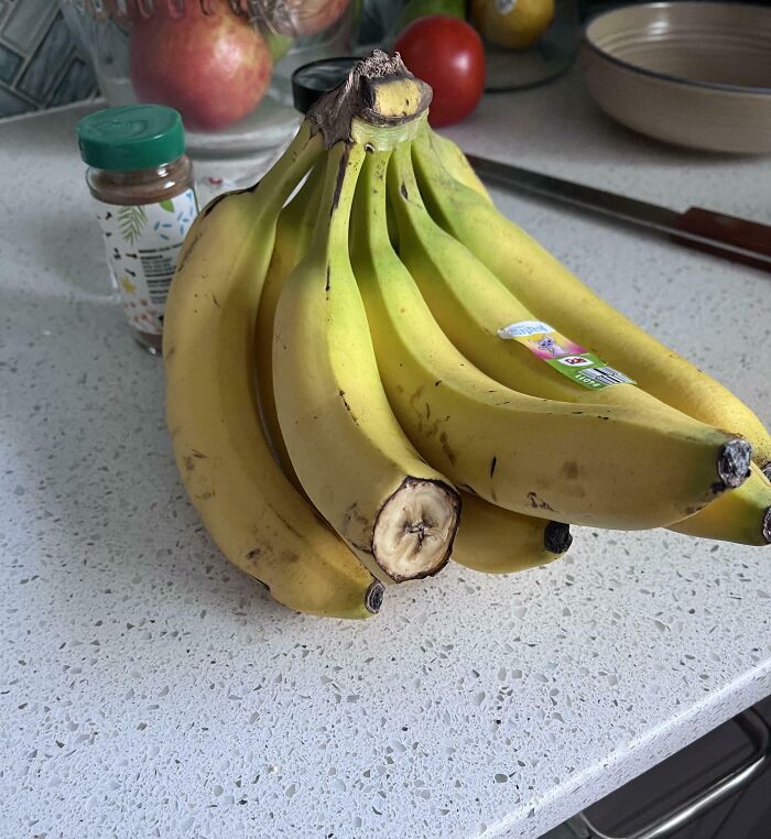 64 Posts From Unfortunate People Who Have The Worst In-Laws (New Pics)