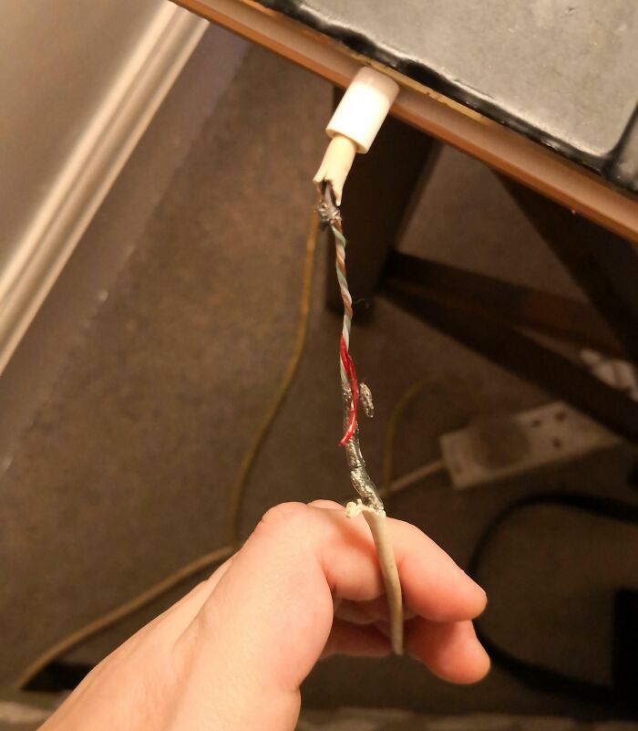 64 Posts From Unfortunate People Who Have The Worst In-Laws (New Pics)