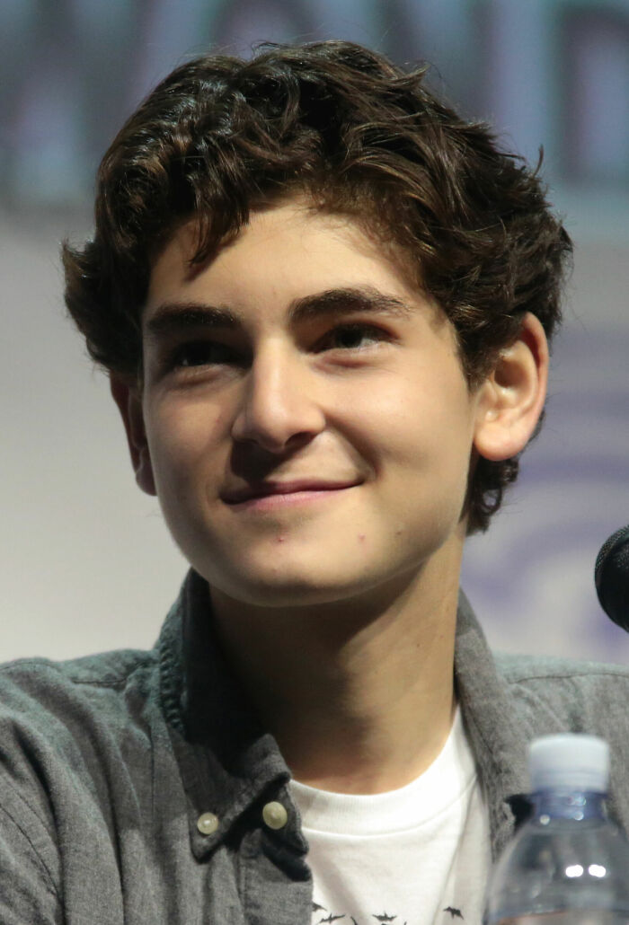David Mazouz: Bio And Career Highlights David Mazouz: Bio And Career Highlights
