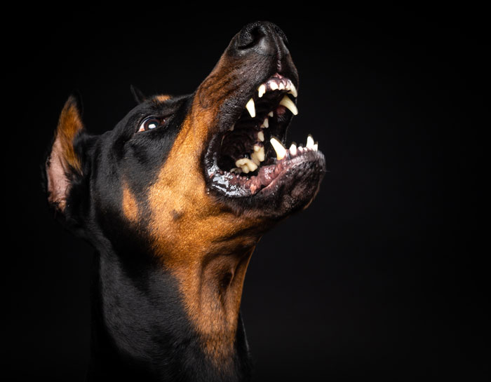 MIL Burns Down Gay Couple’s Home In The Middle Of The Night Because Son Refuses To Marry A Girl And Have Kids MIL Burns Down Gay Couple’s Home In The Middle Of The Night Because Son Refuses To Marry A Girl And Have Kids