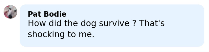 Despite Calling 911, Young Woman Loses Her Life Hiking New York’s Highest Peak With Her Dog