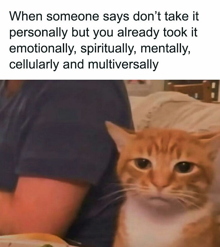 106 Memes That Perfectly Capture Modern Adulthood And The Struggles Of Everyday Life