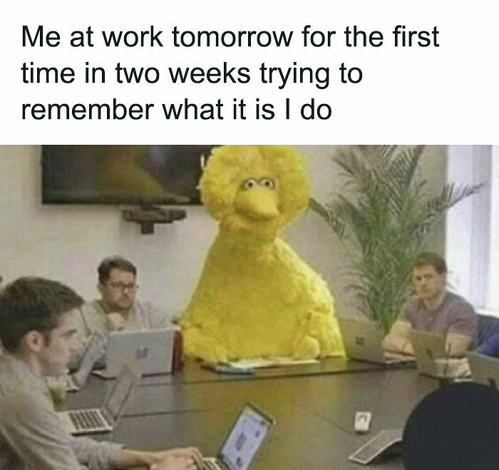 106 Memes That Perfectly Capture Modern Adulthood And The Struggles Of Everyday Life