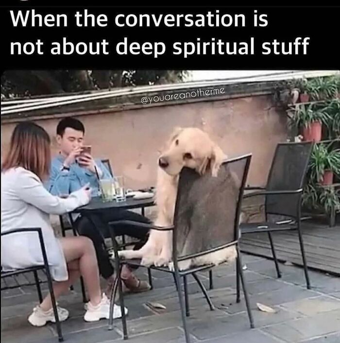 106 Memes That Perfectly Capture Modern Adulthood And The Struggles Of Everyday Life