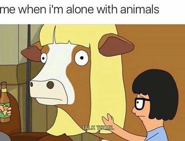 106 Memes That Perfectly Capture Modern Adulthood And The Struggles Of Everyday Life