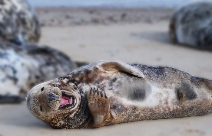 50 Animal Photos That Won Hearts In PhotoCrowd&rsquo;s Latest Contest