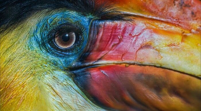 50 Animal Photos That Won Hearts In PhotoCrowd&rsquo;s Latest Contest