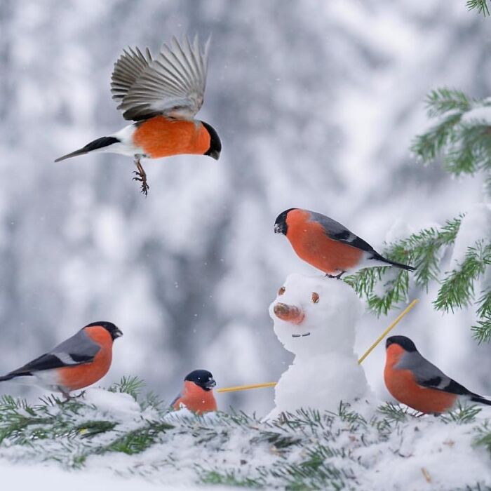 50 Animal Photos That Won Hearts In PhotoCrowd&rsquo;s Latest Contest