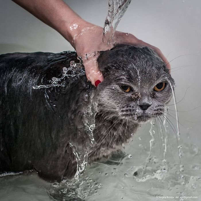 50 Animal Photos That Won Hearts In PhotoCrowd&rsquo;s Latest Contest