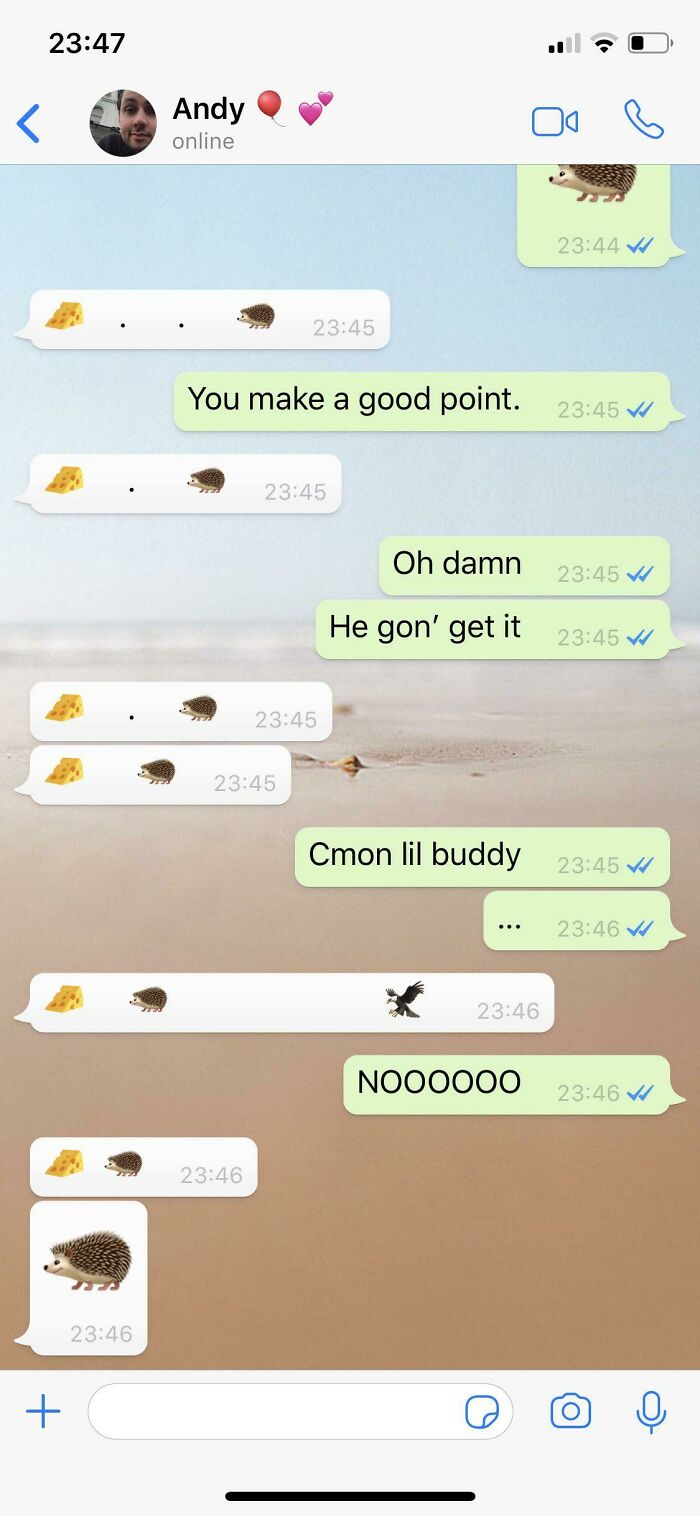 47 Text Message Moments So Funny People Had No Choice But To Post Them Online 47 Text Message Moments So Funny People Had No Choice But To Post Them Online