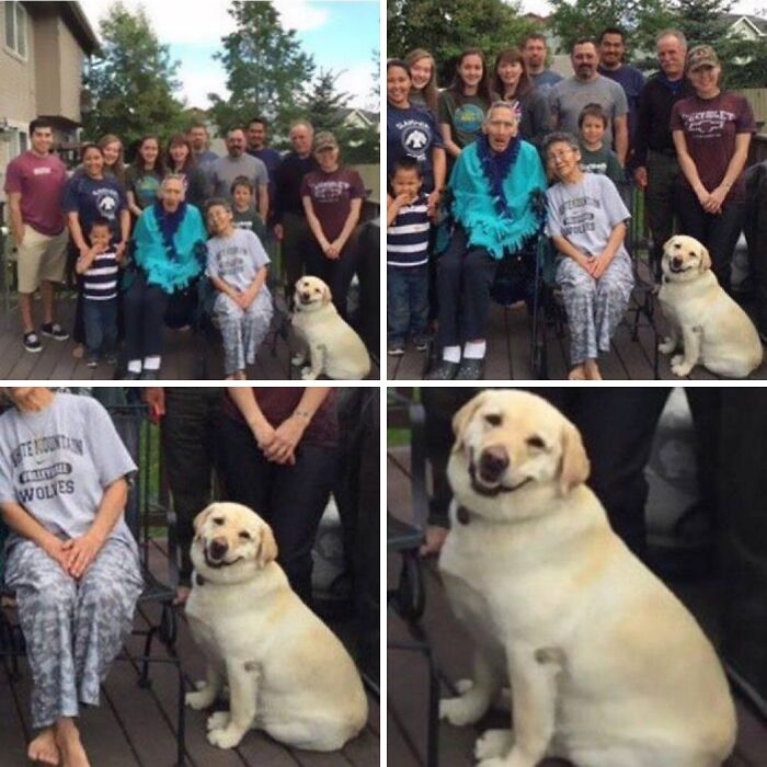 Dogs Being Dogs: 85 Candid Moments From This Page