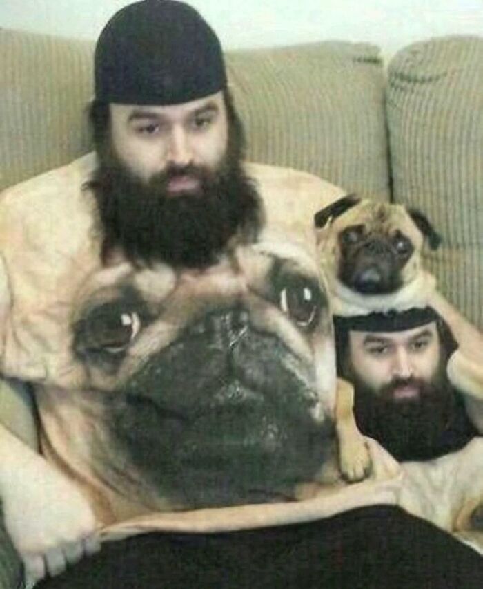 Dogs Being Dogs: 85 Candid Moments From This Page